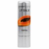 Lippenbalsam Greenland Papaya (3,9 g)