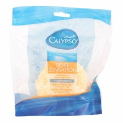 Körperschwamm Calypso Calypso (MPN )