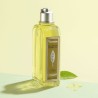 Duschgel L'Occitane En Provence Reiniger Verbena 250 ml